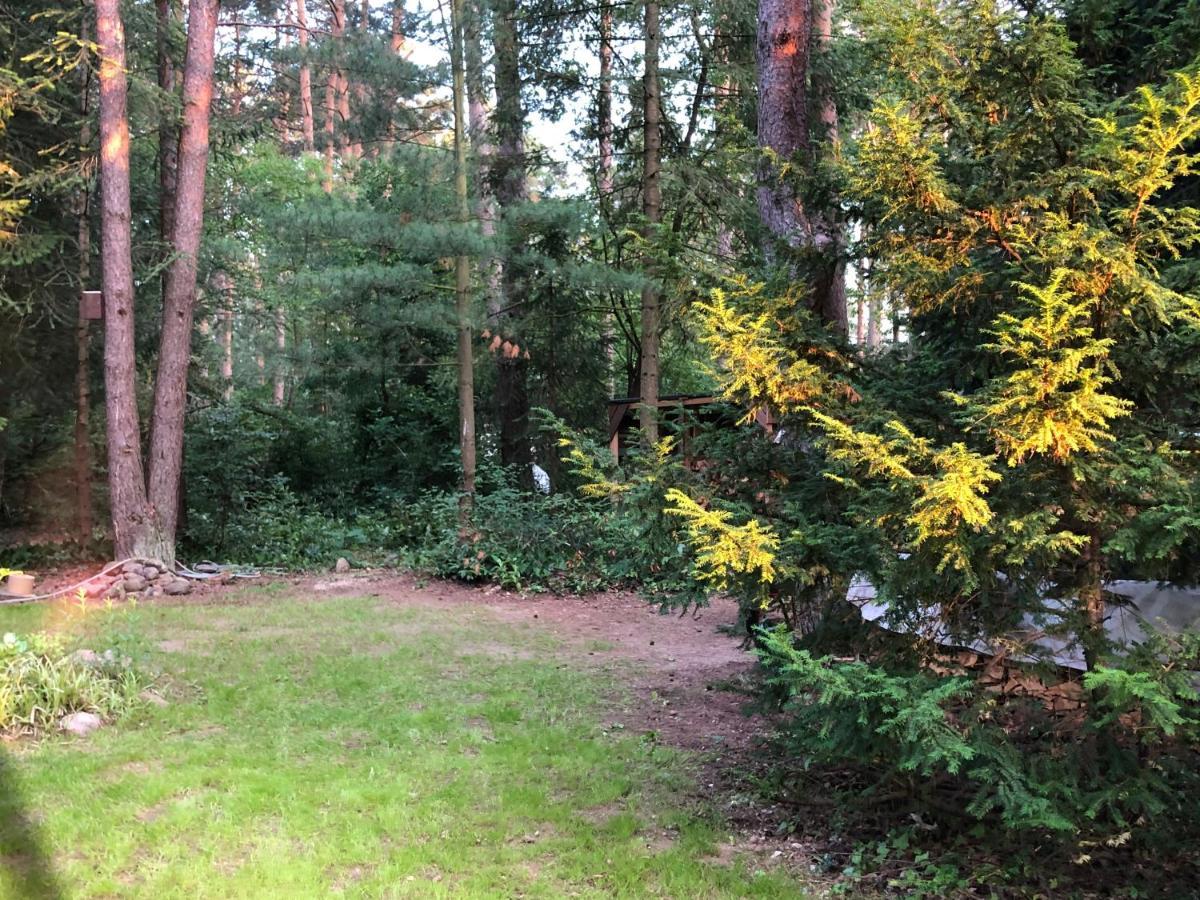 Ferienhaus Reetdach 1300Qm Privatgrundstueck Bootssteg Sauna Templin Luebbesee Uckermark Erholung Pur Seenplatte Petersdorf  Exterior photo